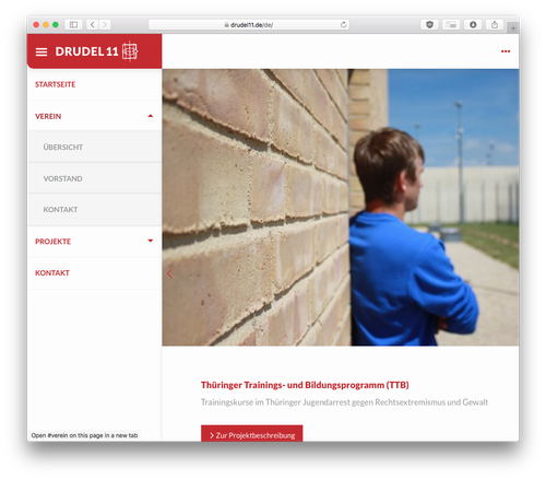 Screenshot: Drudel11 Website